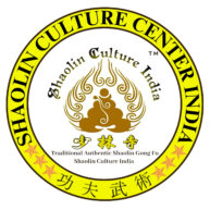 shaolincultures.com